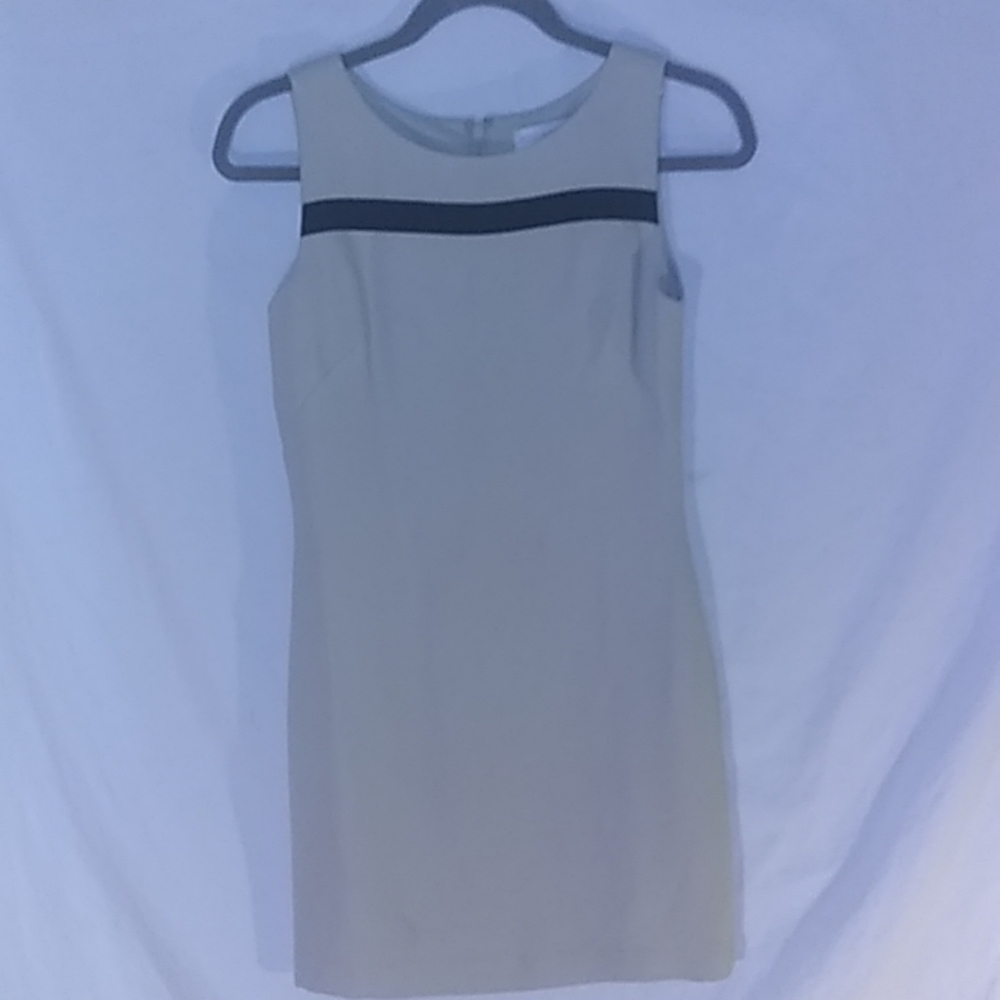 Petite Sophisticate dress